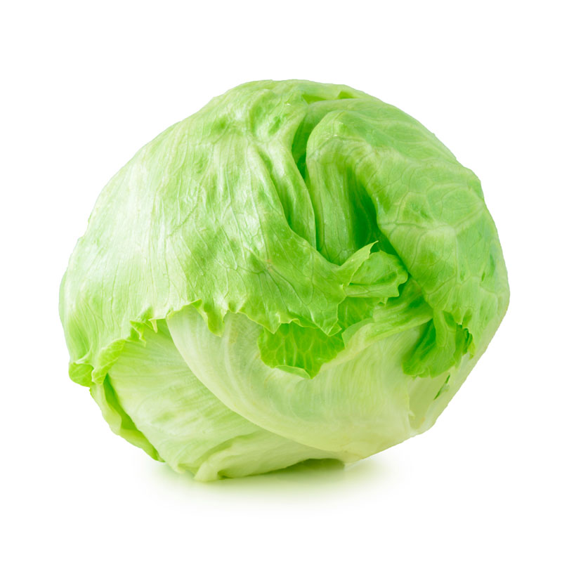 lechuga