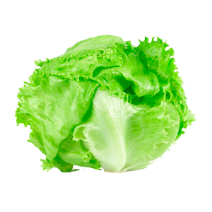 lechuga